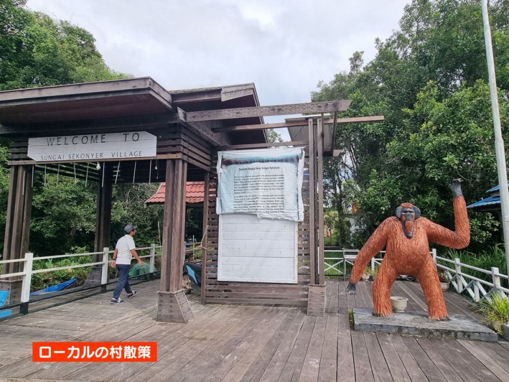 【ジャカルタ発】リバークルーズでオランウータンに会いに行こう＜タンジュンプティン国立公園＞  19