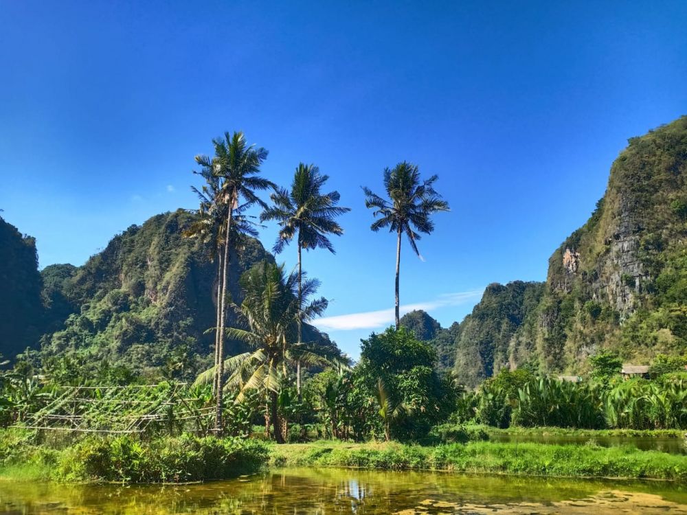 【ジャカルタ発】 秘境・タナトラジャ(スラウェシ島)2泊3日ツアー  9