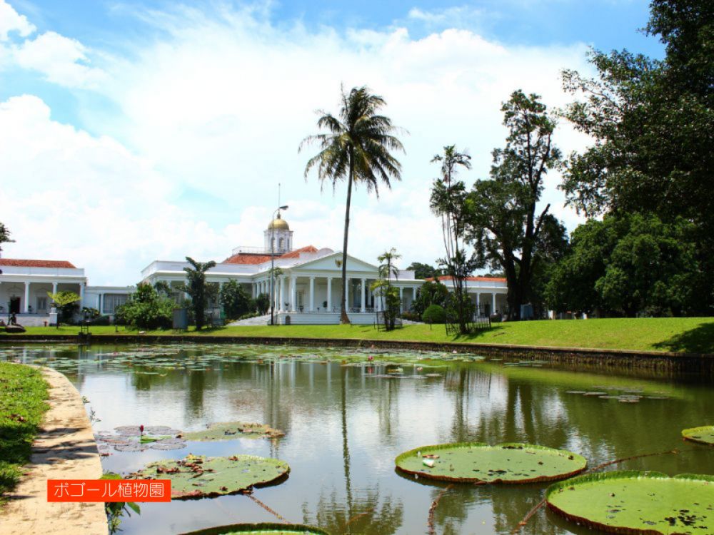 ジャカルタ市内&ボゴール観光 7