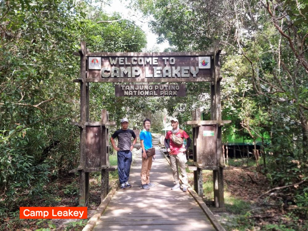 【ジャカルタ発】リバークルーズでオランウータンに会いに行こう＜タンジュンプティン国立公園＞  18