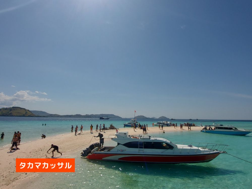 【混載ツアー】日本語ガイド付き ラブアンバジョ発日帰り コモドツアー 8