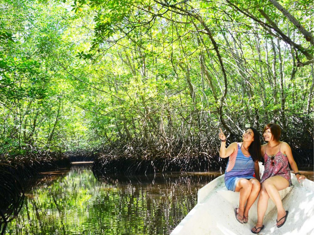 レンボンガン島DEマングローブ＆シュノーケリング 1