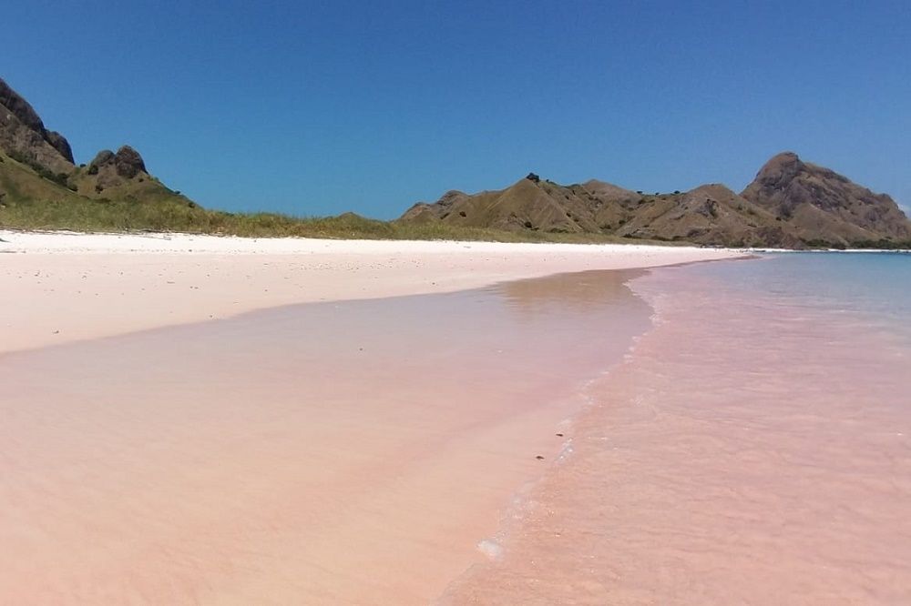 【ジャカルタ発】世界自然遺産!コモド島・コモドドラゴン&ピンクビーチ 2泊3日 4