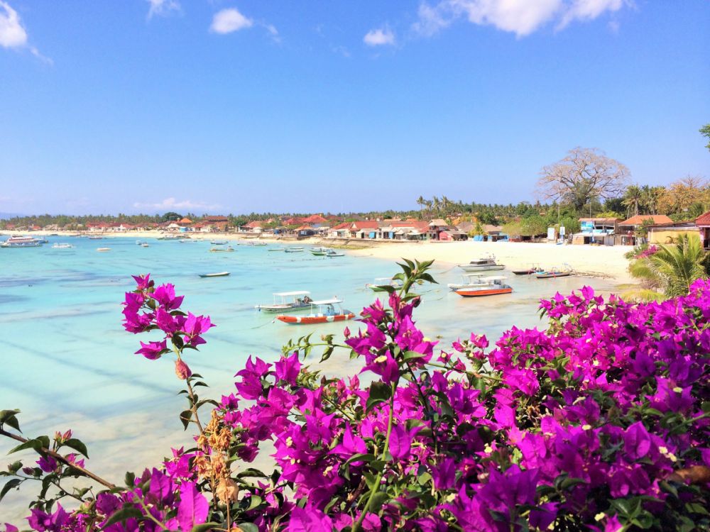 レンボンガン島DEマングローブ＆シュノーケリング 9