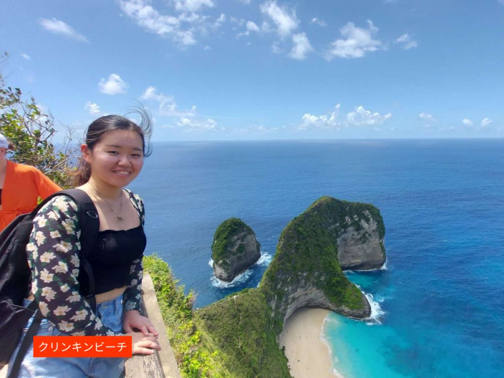 バリ島発日帰りヌサペニダ1日観光ツアー 6