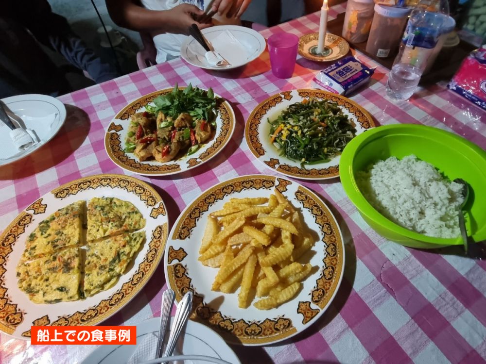 【ジャカルタ発】リバークルーズでオランウータンに会いに行こう＜タンジュンプティン国立公園＞  25