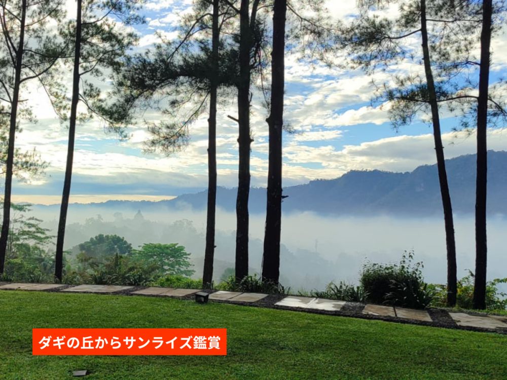 【ジョグジャカルタ発】幻想的な朝焼けを堪能!ボロブドゥール遺跡サンライズ半日ツアー 4