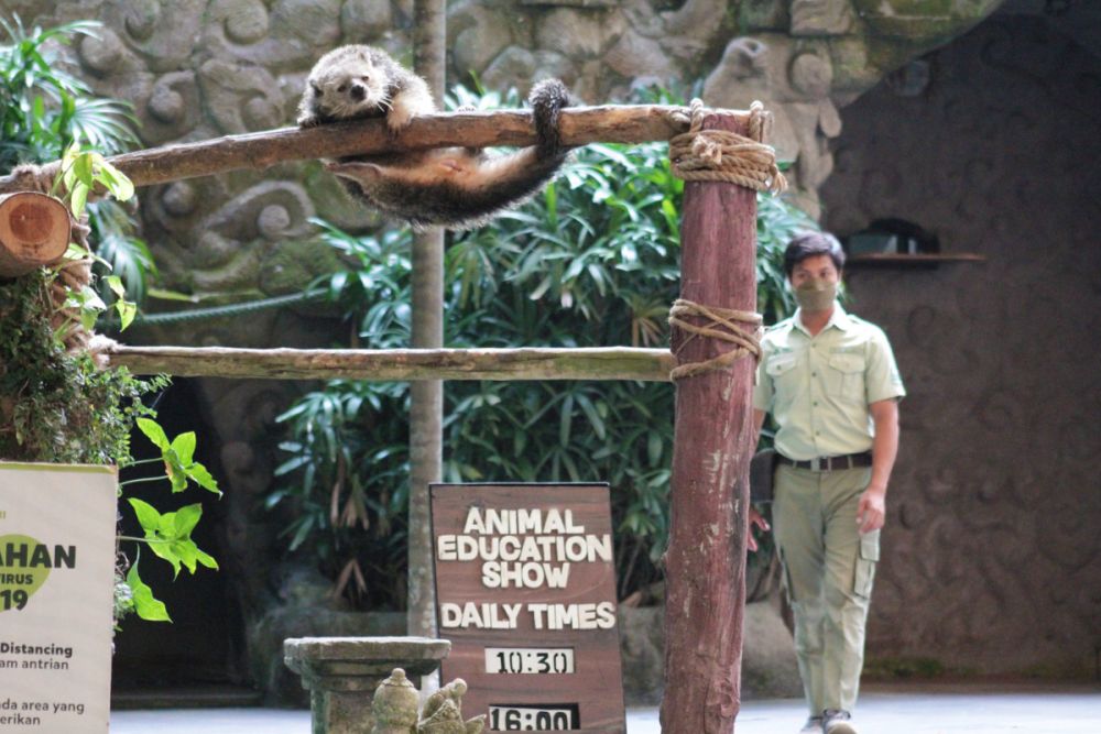 バリサファリ＆マリンパーク 3