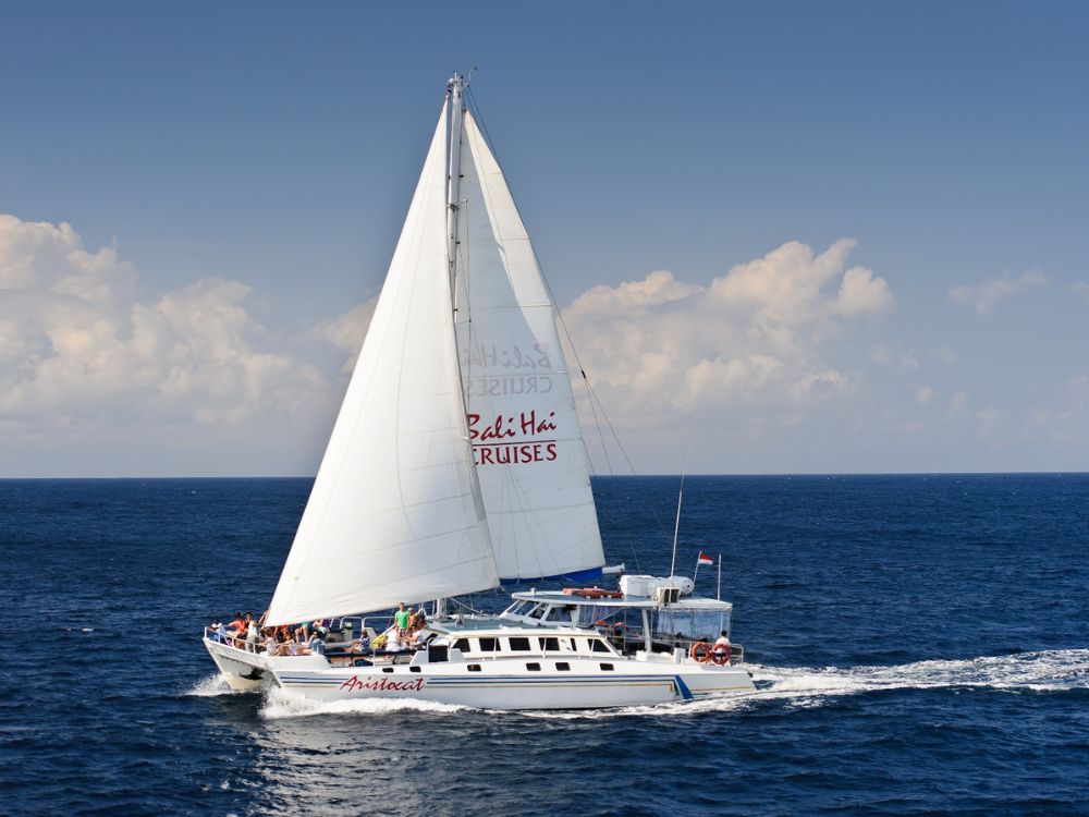 バリハイ　アリストキャット 1