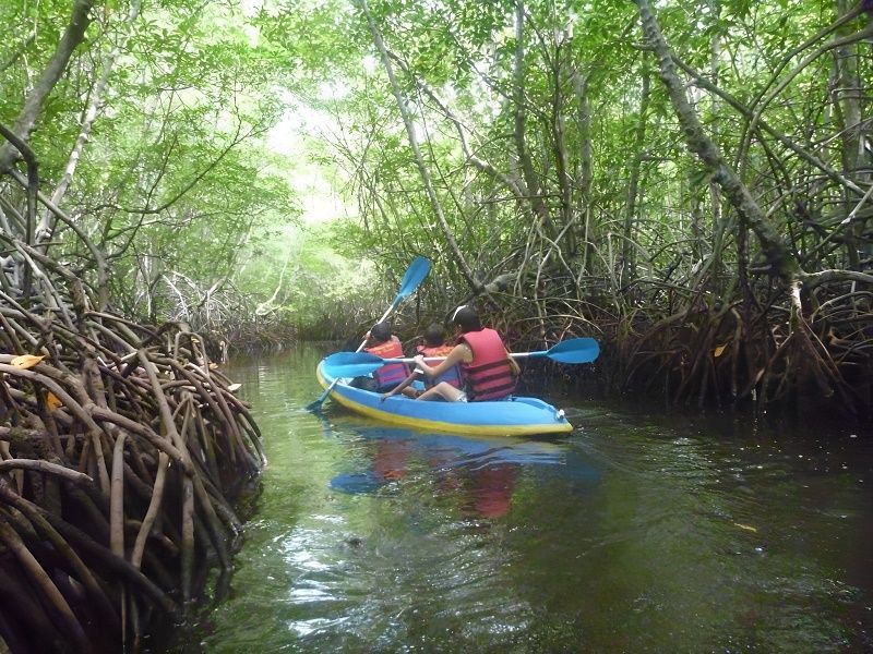 レンボンガン島観光&マングローブでSUP又はカヤックツアー 5