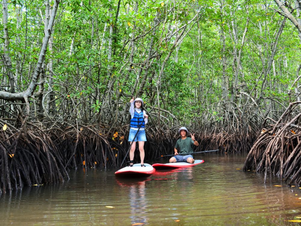 レンボンガン島DEマングローブ＆シュノーケリング 3