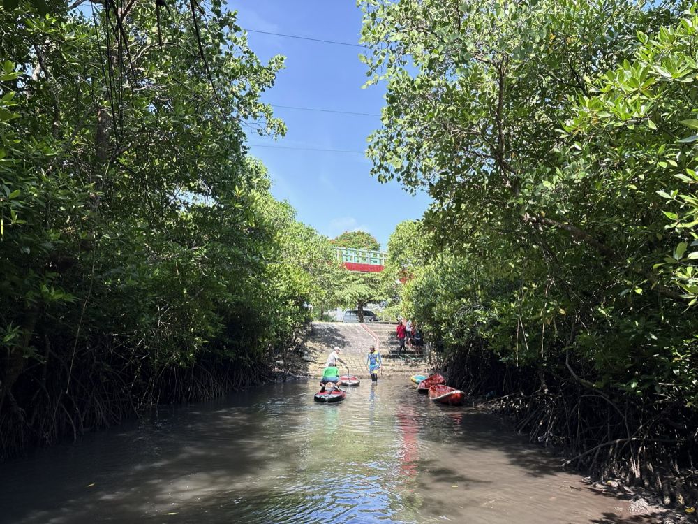 バリ島のマングローブで気軽に半日SUPツアー 11