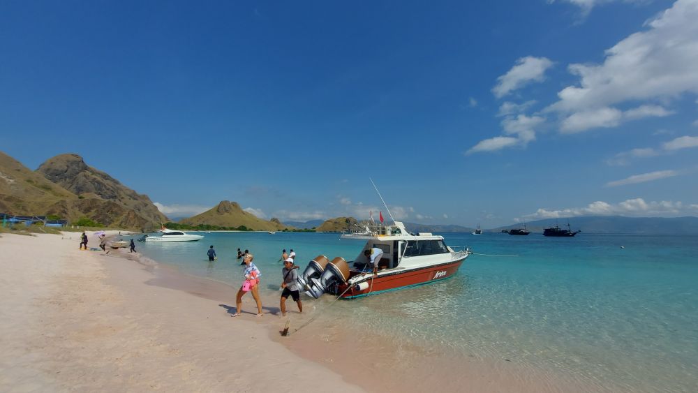 【バリ島発】日帰りコモド島ツアー 6
