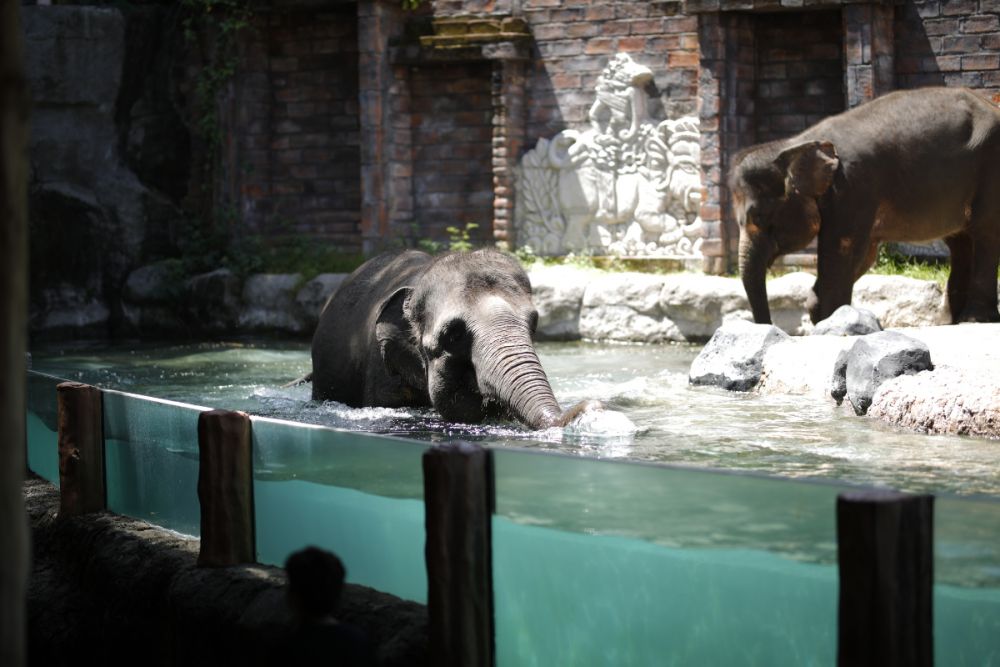 バリサファリ＆マリンパーク 5