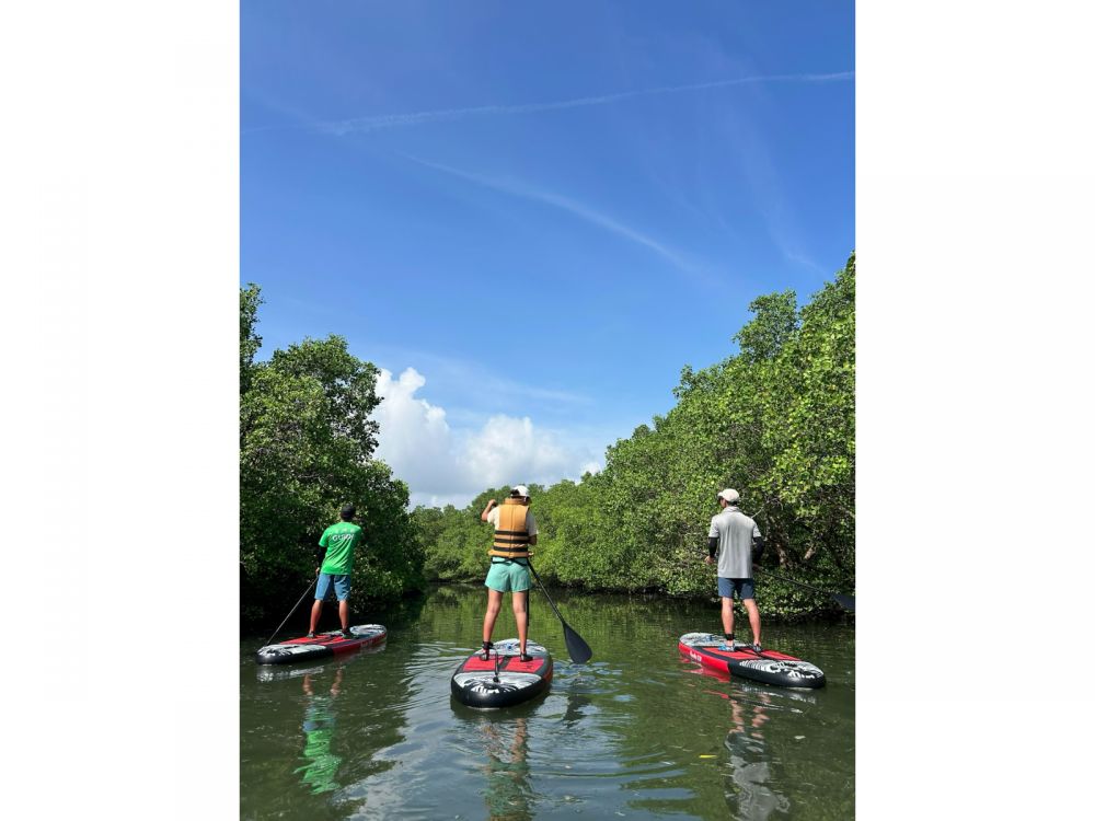バリ島のマングローブで気軽に半日SUPツアー 9
