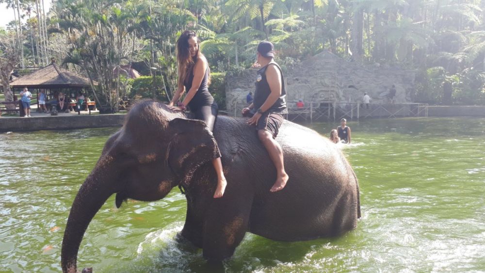 バリ島でエレファントサファリ 8