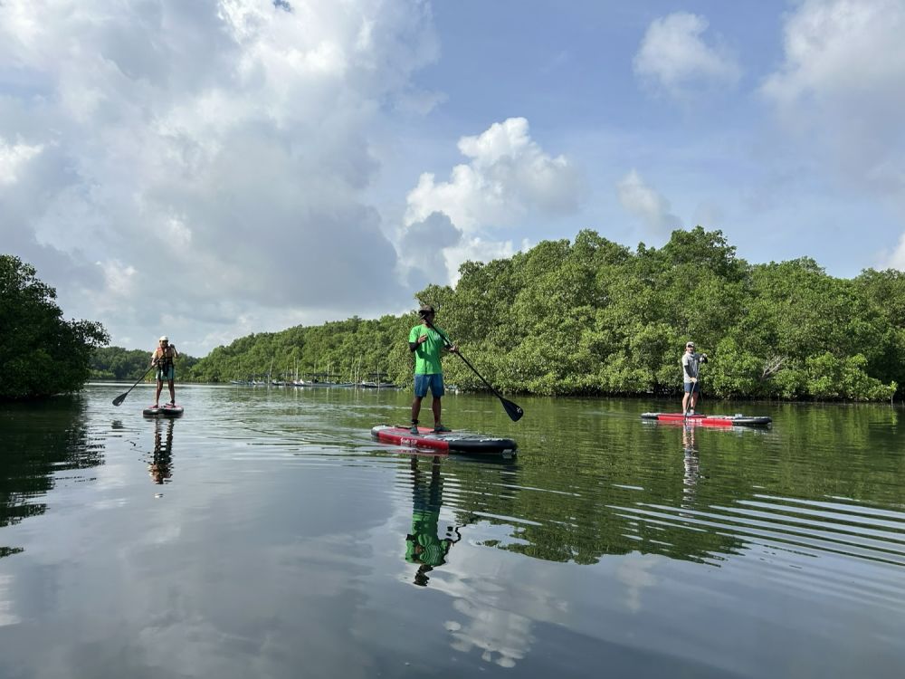 バリ島のマングローブで気軽に半日SUPツアー 4