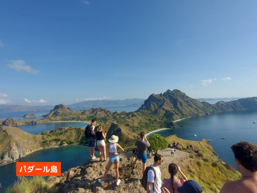 【混載ツアー】日本語ガイド付き ラブアンバジョ発日帰り コモドツアー 3