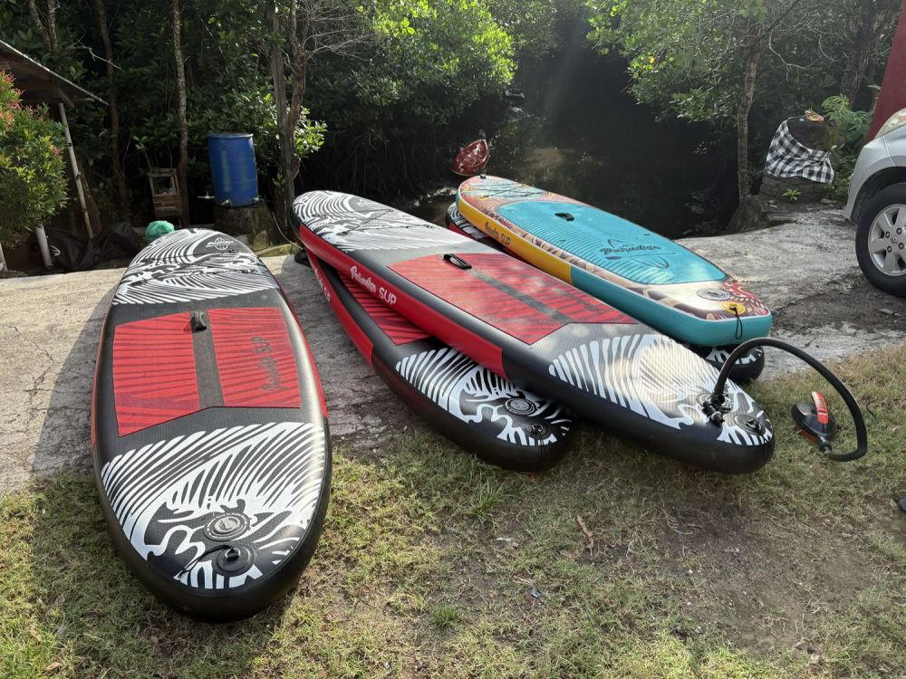 バリ島のマングローブで気軽に半日SUPツアー 3