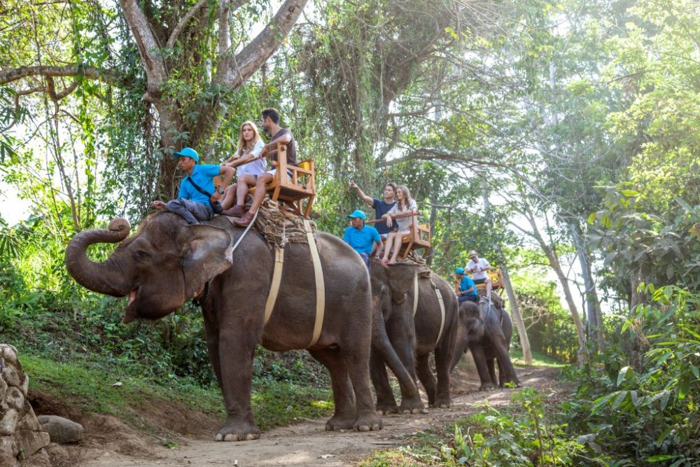バリズー(Bali Zoo)にてエレファントライド＆ウブド自由散策 2