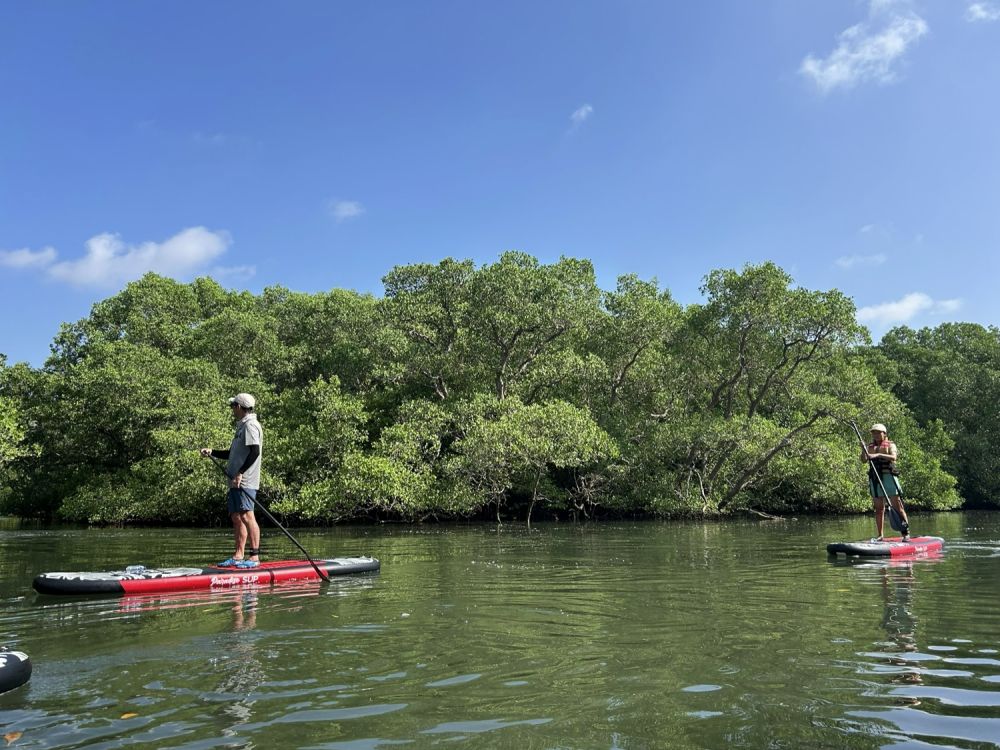 バリ島のマングローブで気軽に半日SUPツアー 6