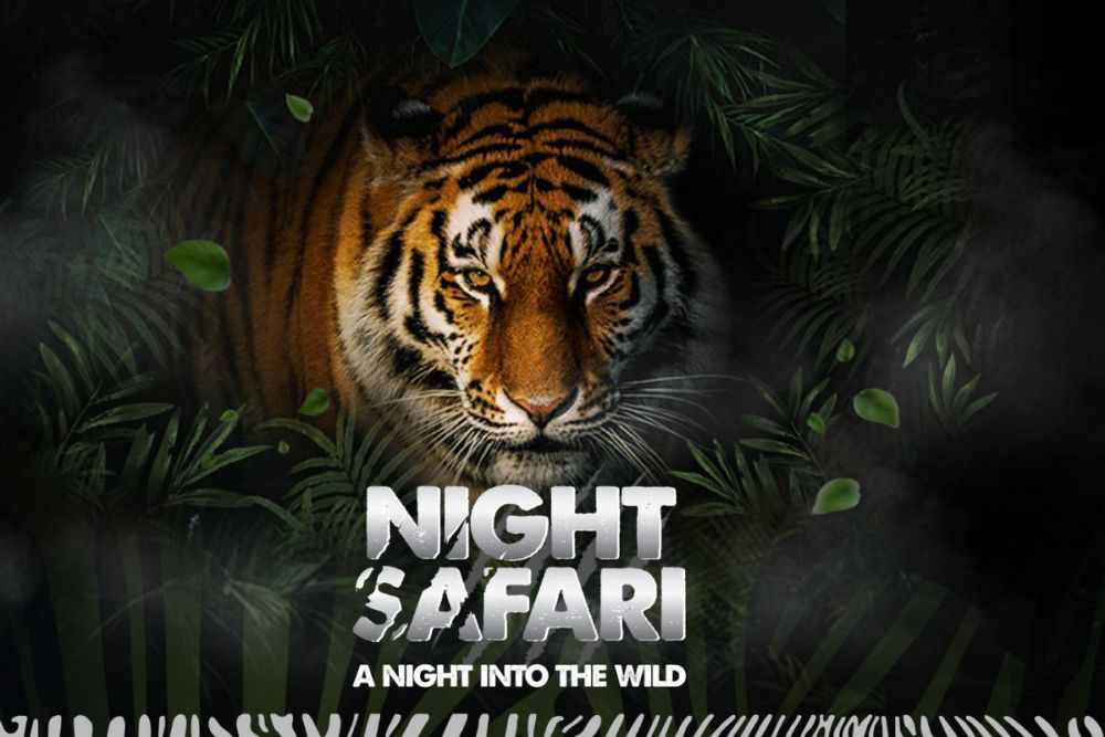 ナイトサファリ　（バリサファリマリン＆パーク） 1