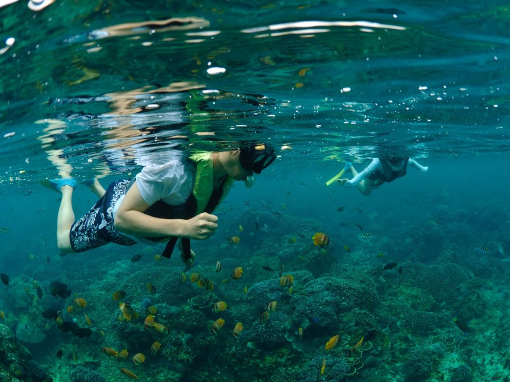 バリハイ　ビーチクラブクルーズ 5