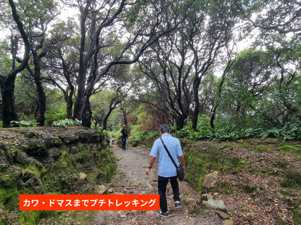 往復新幹線利用!ジャカルタ発バンドン日帰り1日観光 6