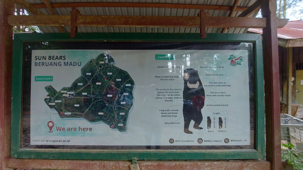 【ジャカルタ発】バリクパパン1泊2日観光ツアー｜オランウータンに会いに行こう!＜サンボジャ・レスタリ＞ 4