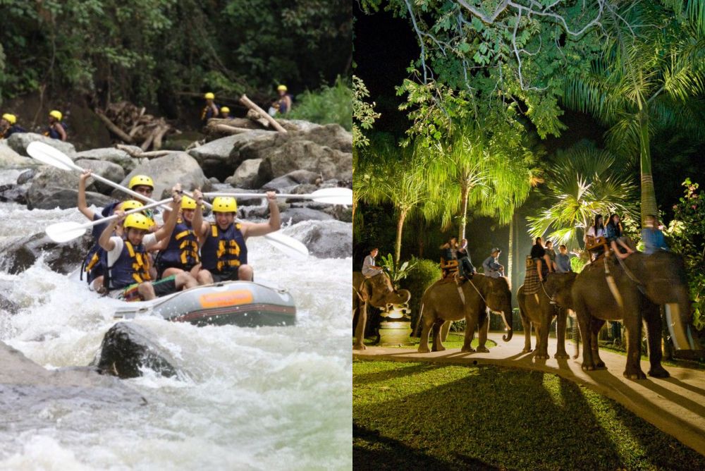 ラフティング＆サファリ・アンダー・ザ・スター 1