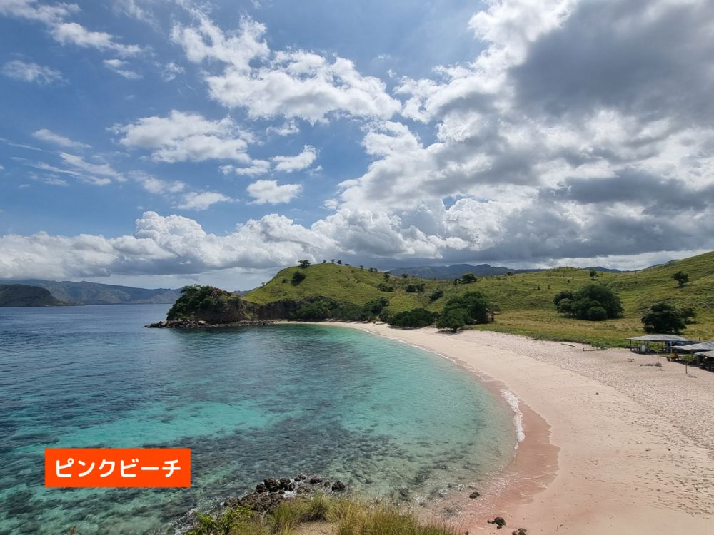 【混載ツアー】日本語ガイド付き ラブアンバジョ発日帰り コモドツアー 7