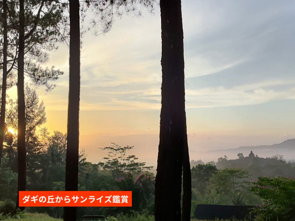 【ジョグジャカルタ発】神秘の朝焼けと歴史探訪！ボロブドゥール遺跡サンライズ＆プランバナン1日ツアー 2