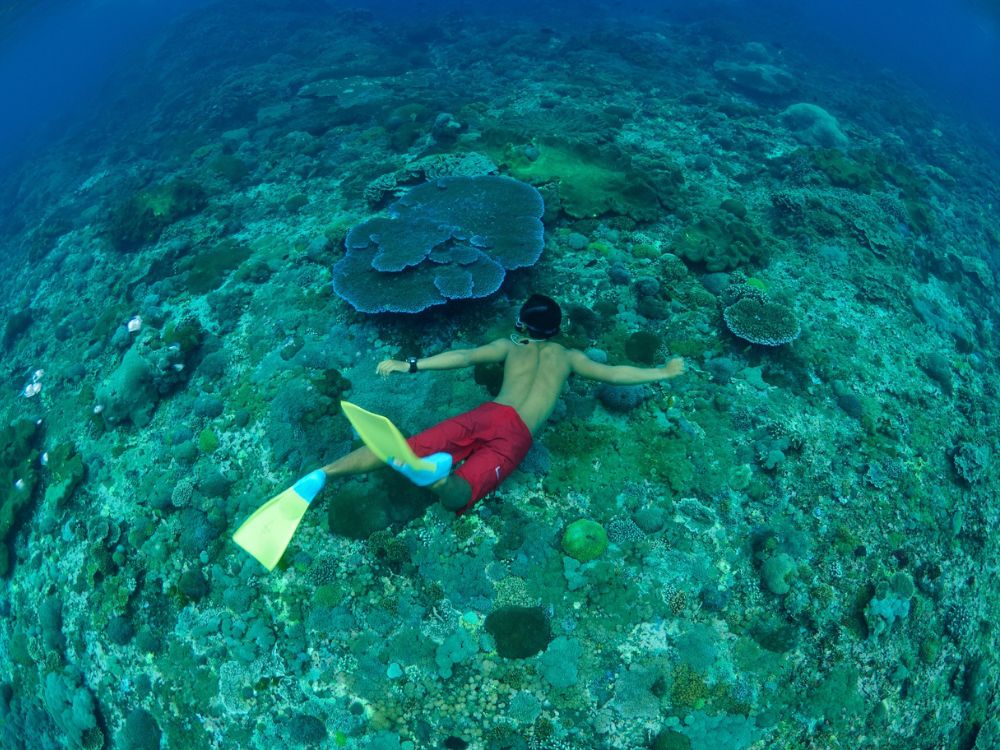 バリハイ　ビーチクラブクルーズ 4