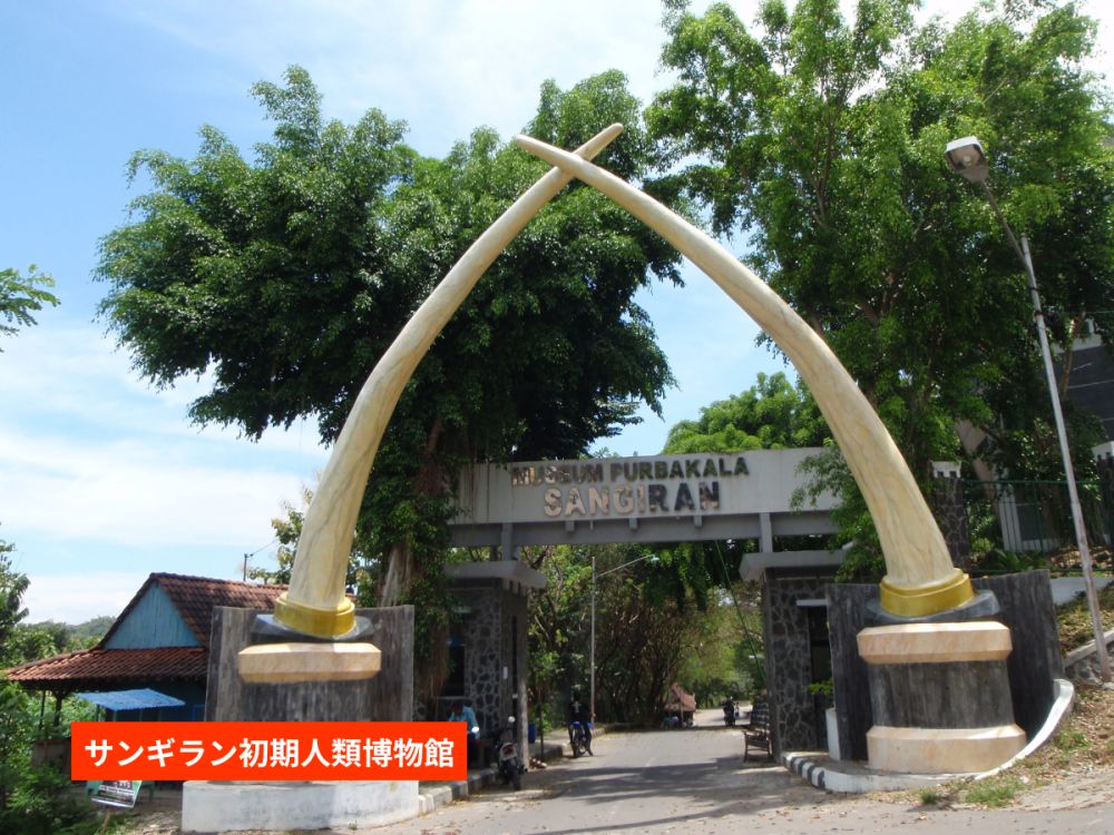 【ジョグジャカルタ発】人類の起源と古代寺院を巡る！サンギラン遺跡＆スクー寺院・チュト寺院1日ツアー 2