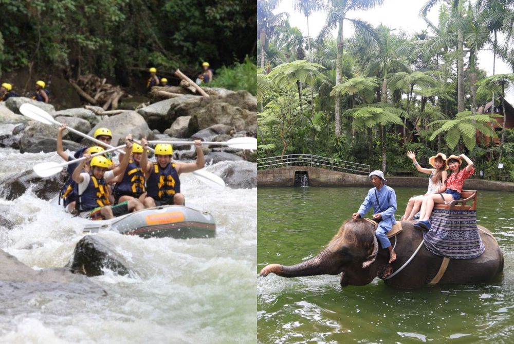ラフティング&エレファントサファリ 1