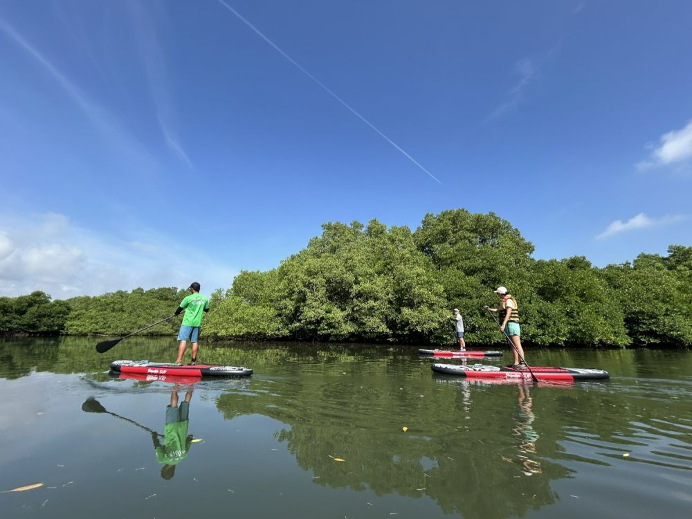 バリ島のマングローブで気軽に半日SUPツアー 1