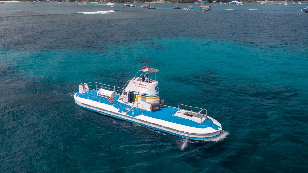 バリハイ　アリストキャット 6