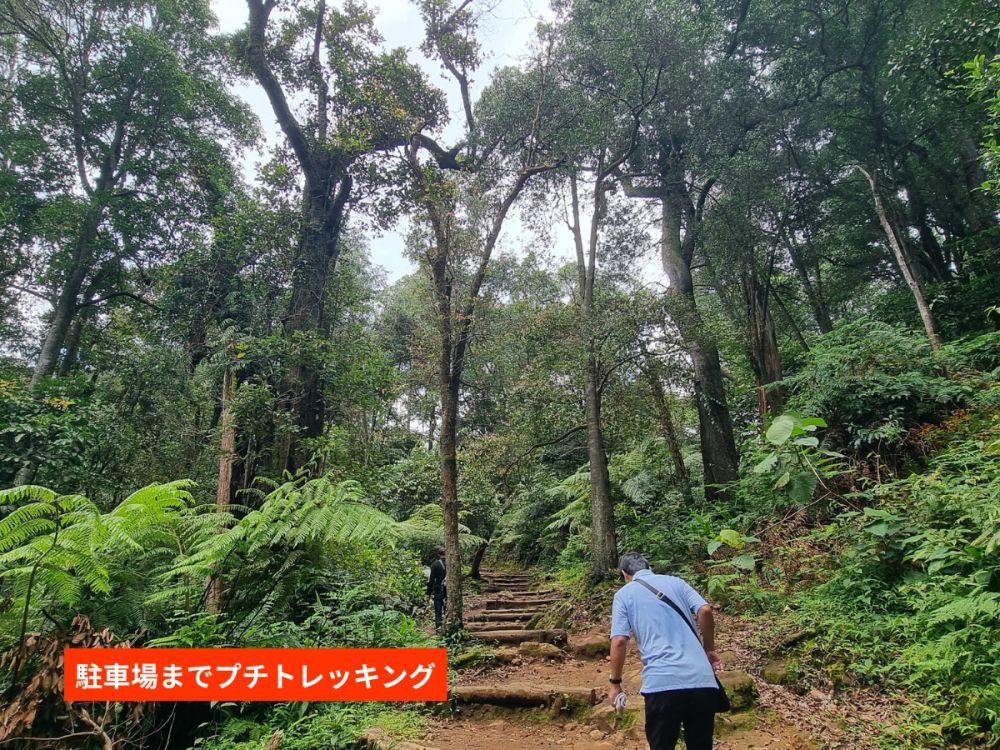 往復新幹線利用!ジャカルタ発バンドン日帰り1日観光 10