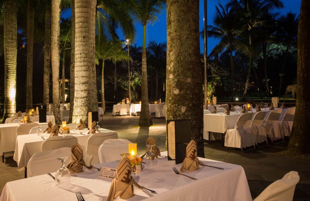 サファリ アンダー ザ スター 3