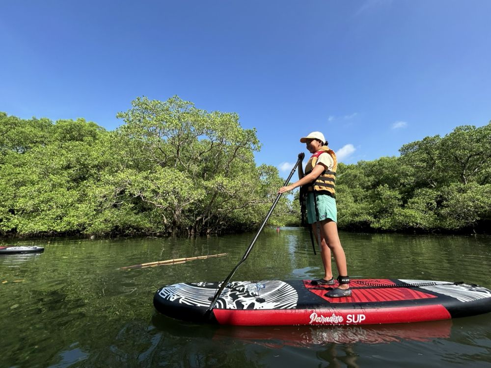 バリ島のマングローブで気軽に半日SUPツアー 7