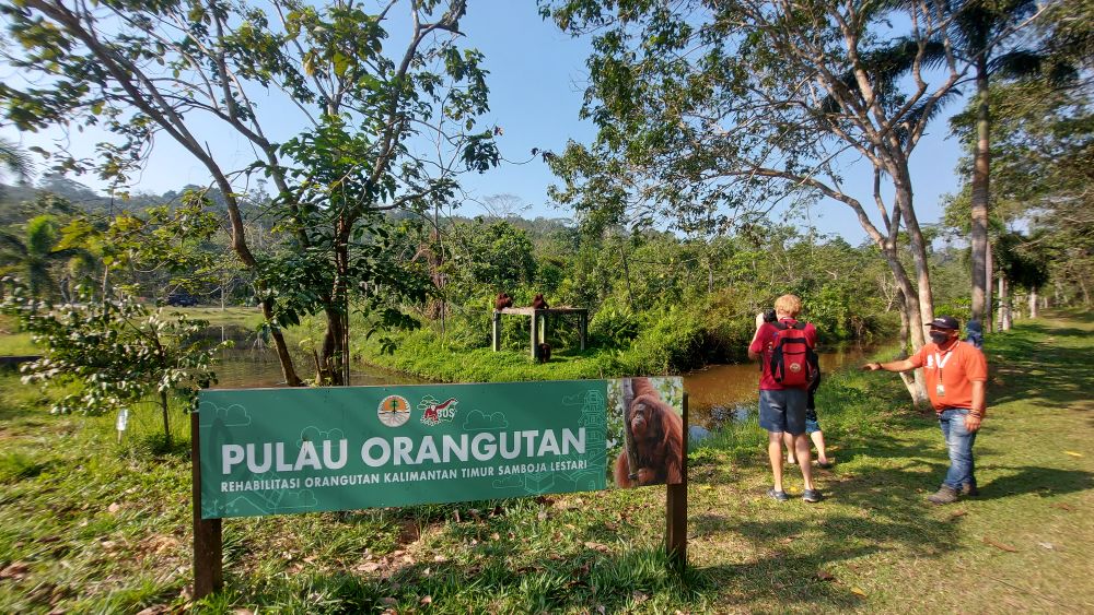 【ジャカルタ発】バリクパパン1泊2日観光ツアー｜オランウータンに会いに行こう!＜サンボジャ・レスタリ＞ 3