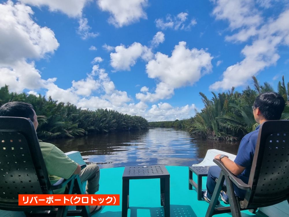 【ジャカルタ発】リバークルーズでオランウータンに会いに行こう＜タンジュンプティン国立公園＞  11