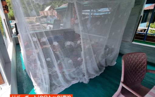 【ジャカルタ発】リバークルーズでオランウータンに会いに行こう＜タンジュンプティン国立公園＞  12