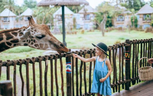 バリサファリ＆マリンパーク 7