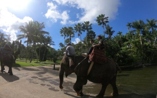 バリ島でエレファントサファリ 6