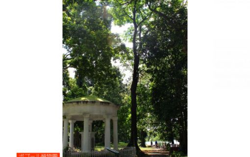 ジャカルタ市内&ボゴール観光 10