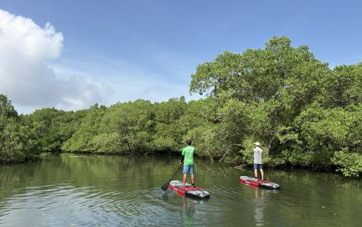 バリ島のマングローブで気軽に半日SUPツアー 10