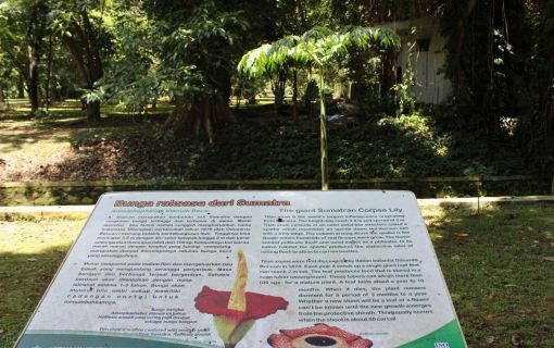 ボゴール1日観光 4