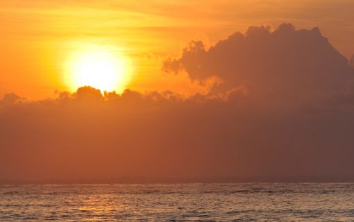 バリハイ　アリストキャット イブニングクルーズ 6