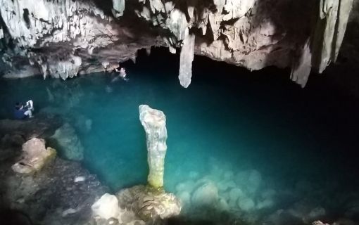 【ジャカルタ発】世界自然遺産!コモド島・コモドドラゴン&ピンクビーチ 2泊3日 2